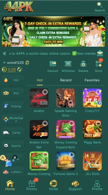 44pk game apk
